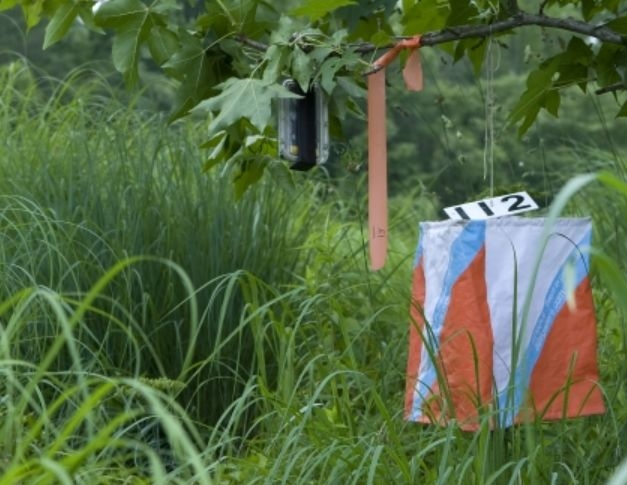 orienteering marker