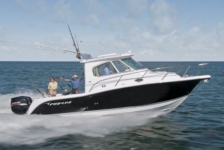 Fishing boat and cruiser