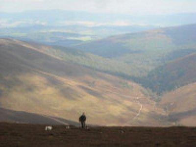 Glen Tanar