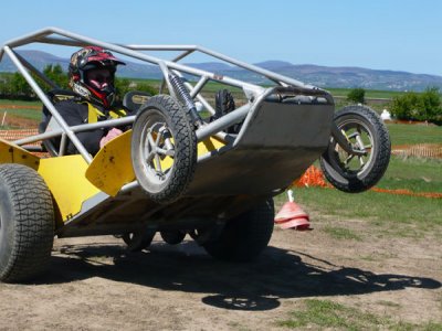 Foylehov Buggies