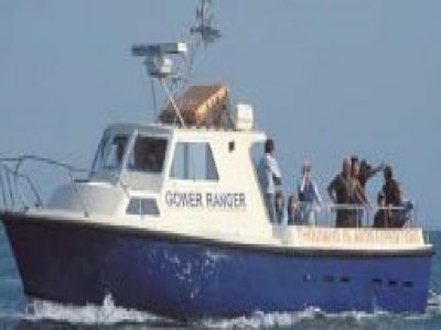 Boat Trip- Children under 4-to Ramsey Island Child