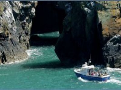 Boat Trip Thousand Islands Pembrokeshire