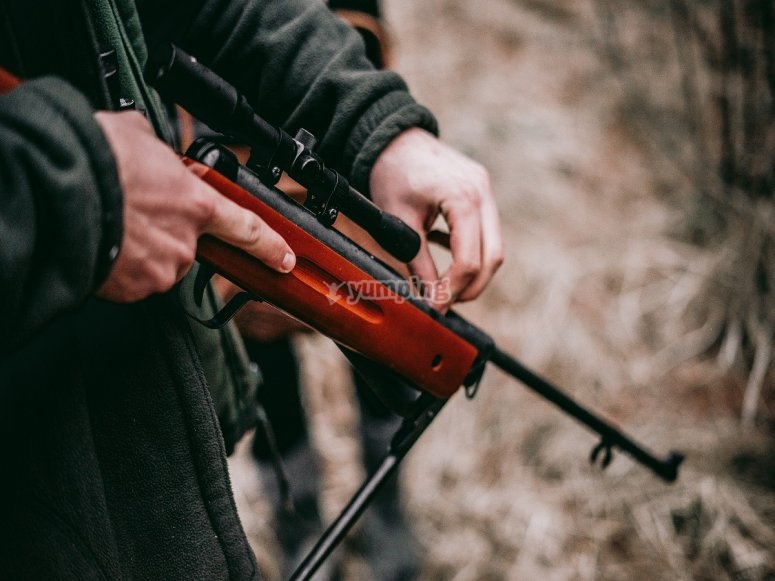 Loading the gun /tb_loading-the-gun.jpg