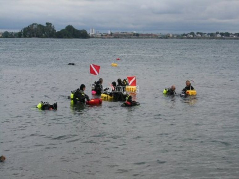 River drift diving River drift diving