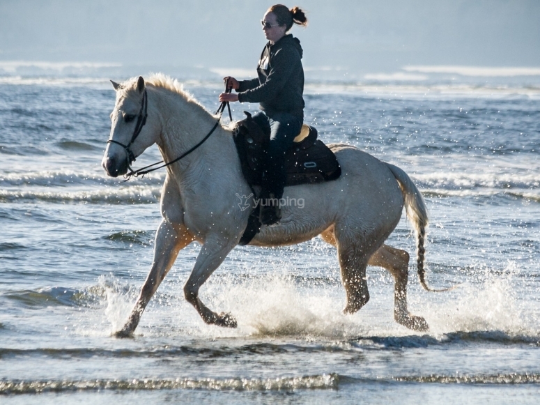 Do horses enjoy horse riding?