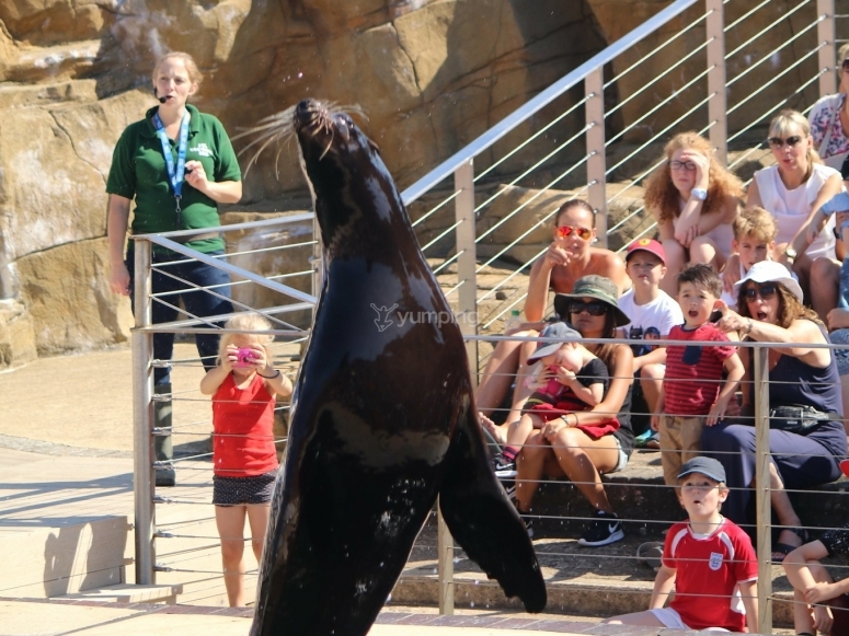 The best zoos to visit as a family in the UK