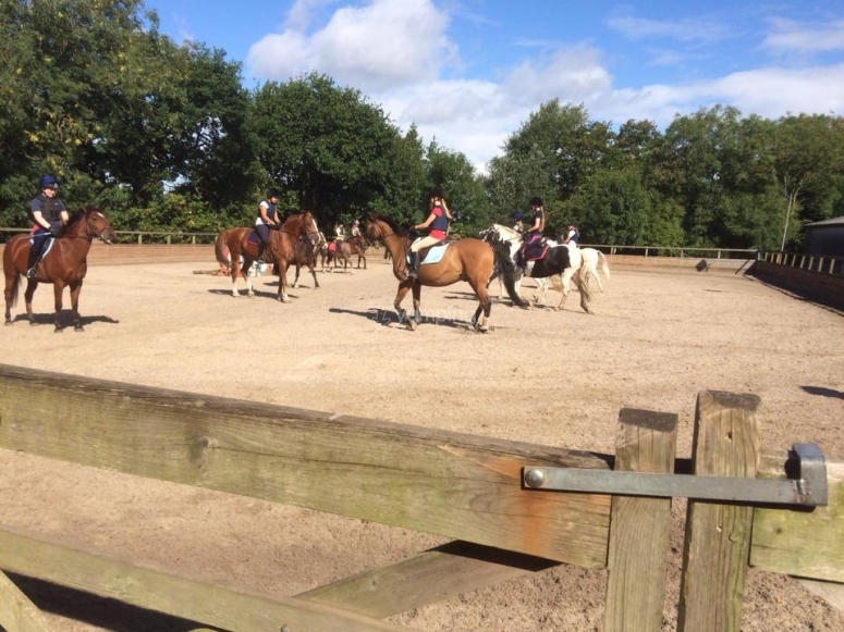 Bourne Vale Stables, prices and bookings 2024