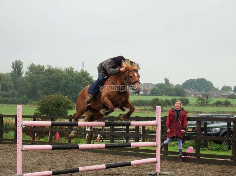 Cliff Hollins Riding School, prices and bookings 2024
