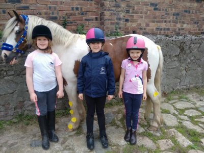 Tower Farm Riding Stables