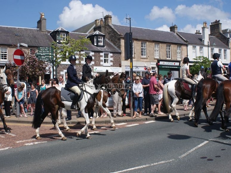 Edinburgh & Lasswade Riding Centre, prices and bookings 2023