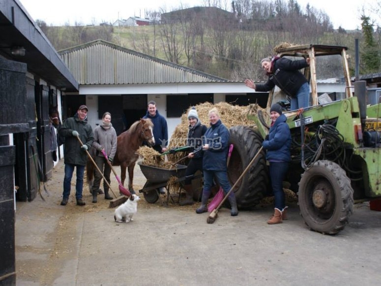 Edinburgh & Lasswade Riding Centre, prices and bookings 2023