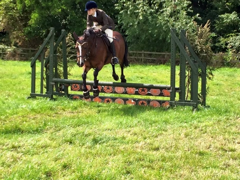 Barleyfields Equestrian Centre, prices and bookings 2024