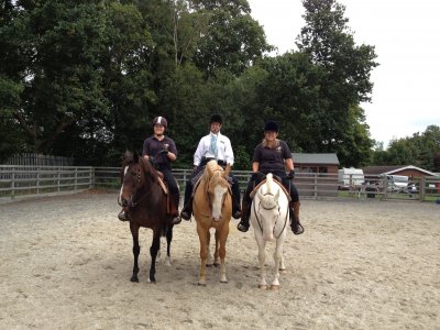1 hour training for Western & Dressage