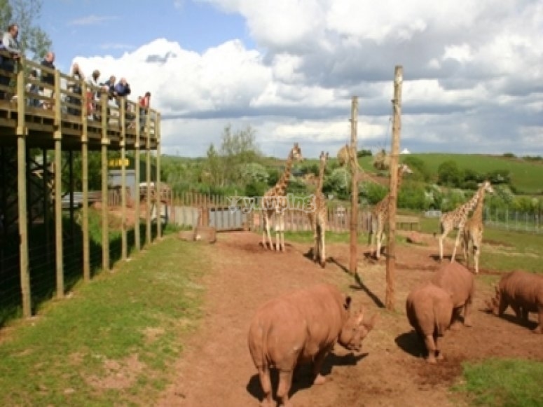 South Lakes Wild Animal Park, prices and bookings 2024