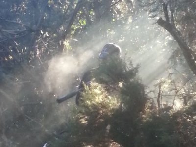Predator Combat Games