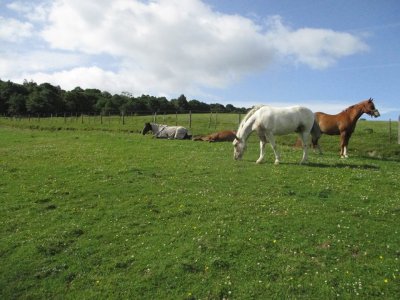 Borlum Farm