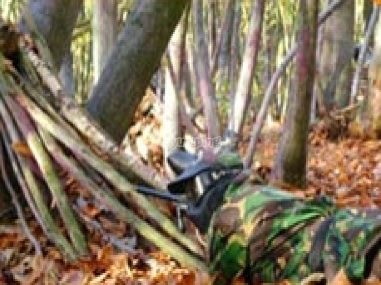 Birmingham Paintball, prices and bookings 2024