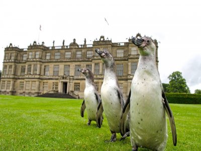 Longleat