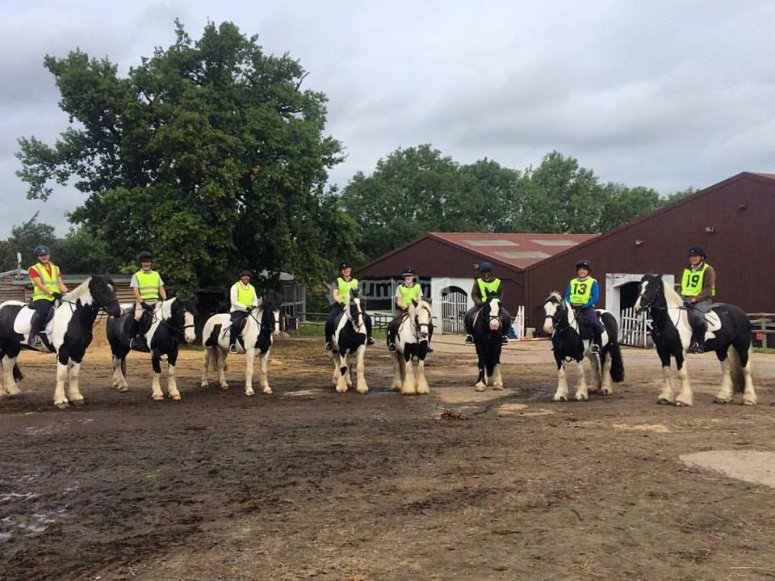 Trent Park Equestrian Centre, prices and bookings 2024 Trent Park Equestrian Centre, prices and bookings 2024