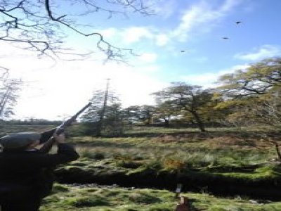 Cowans Sporting