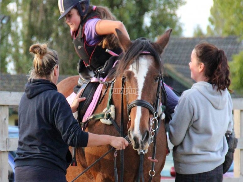 Callum Park, prices and bookings 2024