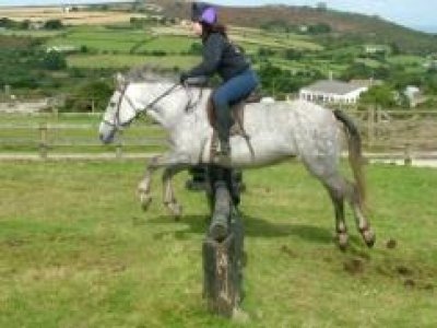 Own a Pony Day