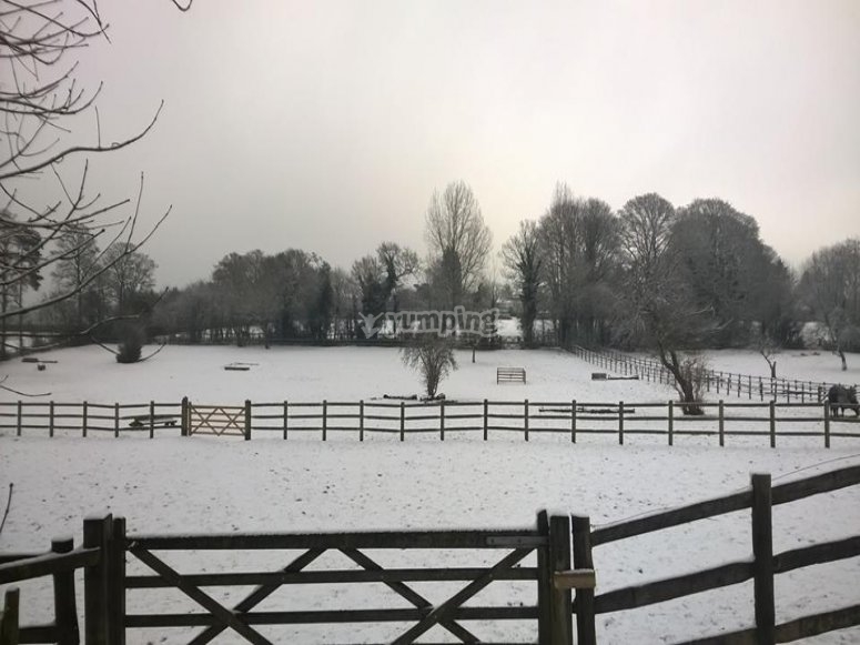 Orchard Cottage Riding Stables, prices and bookings 2024