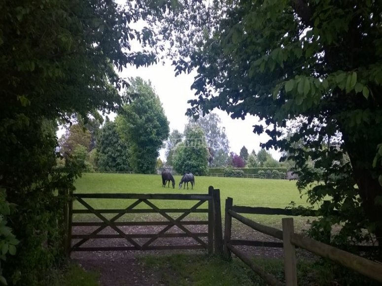 Orchard Cottage Riding Stables, prices and bookings 2024