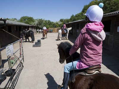 Standard Riding Lesson 30 minutes.
