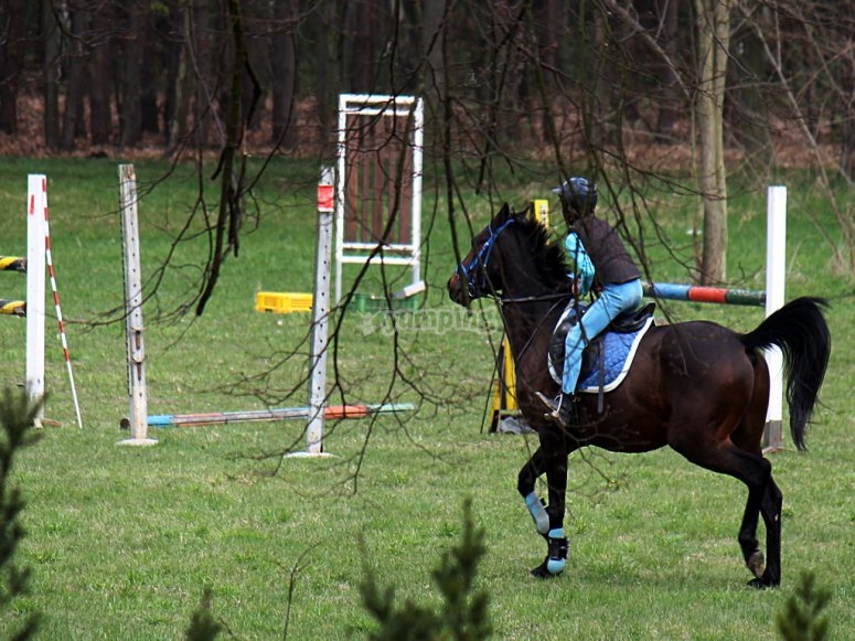 Sandy Lane Equestrian, prices and bookings 2024