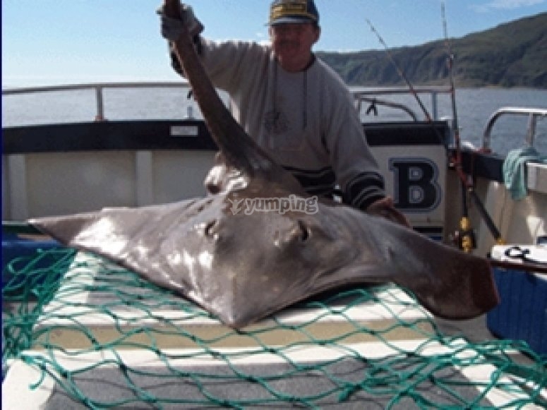 Oban Sea Fishing