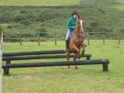 Children’s Horse Riding Holidays