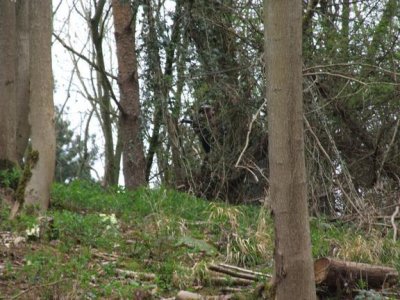 Airsoft Day Package 2