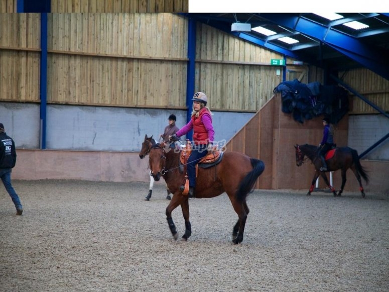 Western Experience, prices and bookings 2024