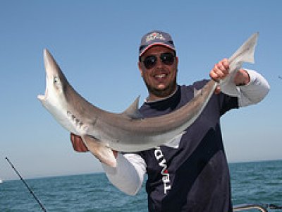 Sea Fishing Whole Boat