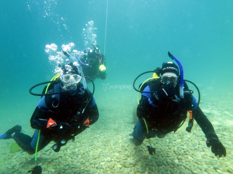 TAL Scuba Diving, prices and bookings 2026 | Yumping