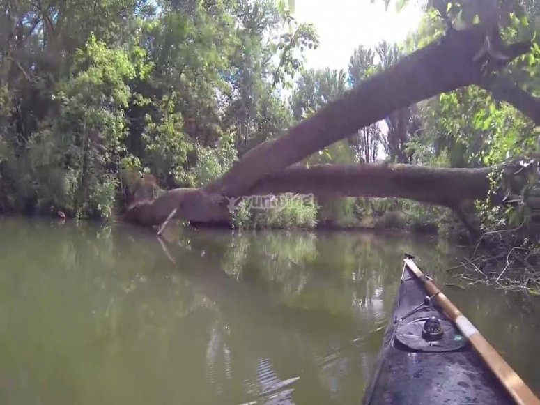 Oxford Kayak Tours, prices and bookings 2024