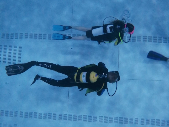 Learning to dive
