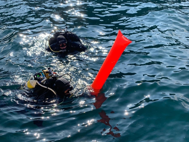 Ready to dive