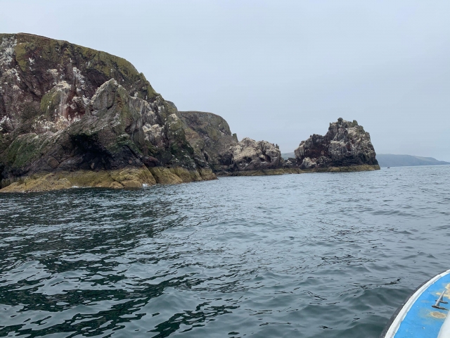 Join our expeditions