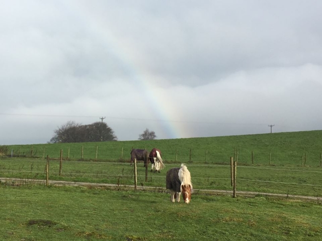  C'est sauvage au centre équestre de Smeltings Farm ! 