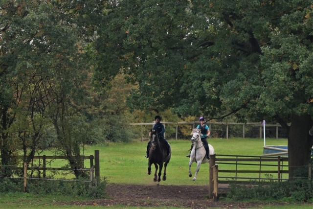 Trekking with Bassingfield Riding School