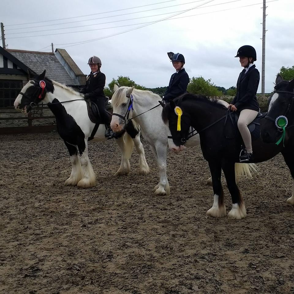 Open Dressage Open Dressage
