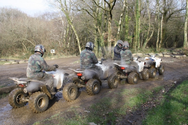  探索周围的自然 