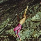  Nuts no son la única fruta 