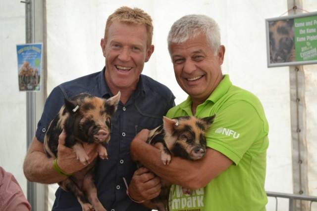  Sie können Ferkel halten