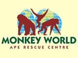 Monkey World