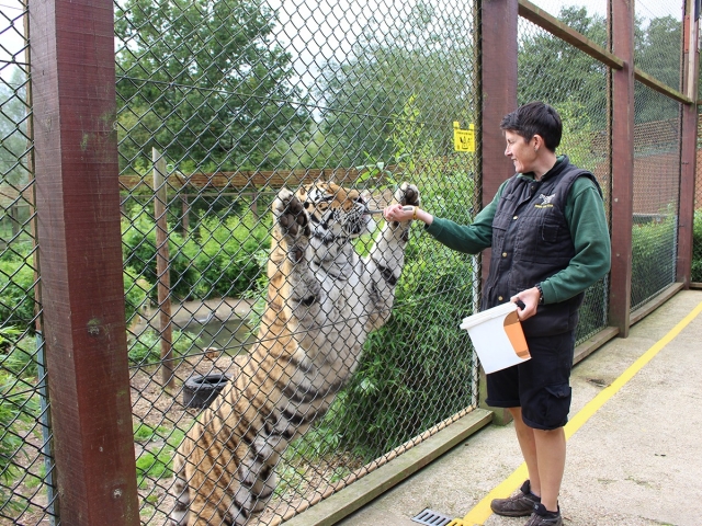 Protecting wildlife around the world