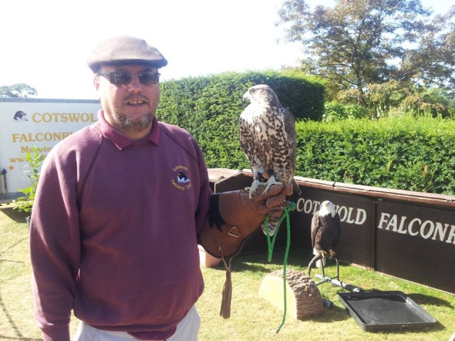  Falcon y A Bald Eagle 