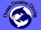 Ocean Dreams